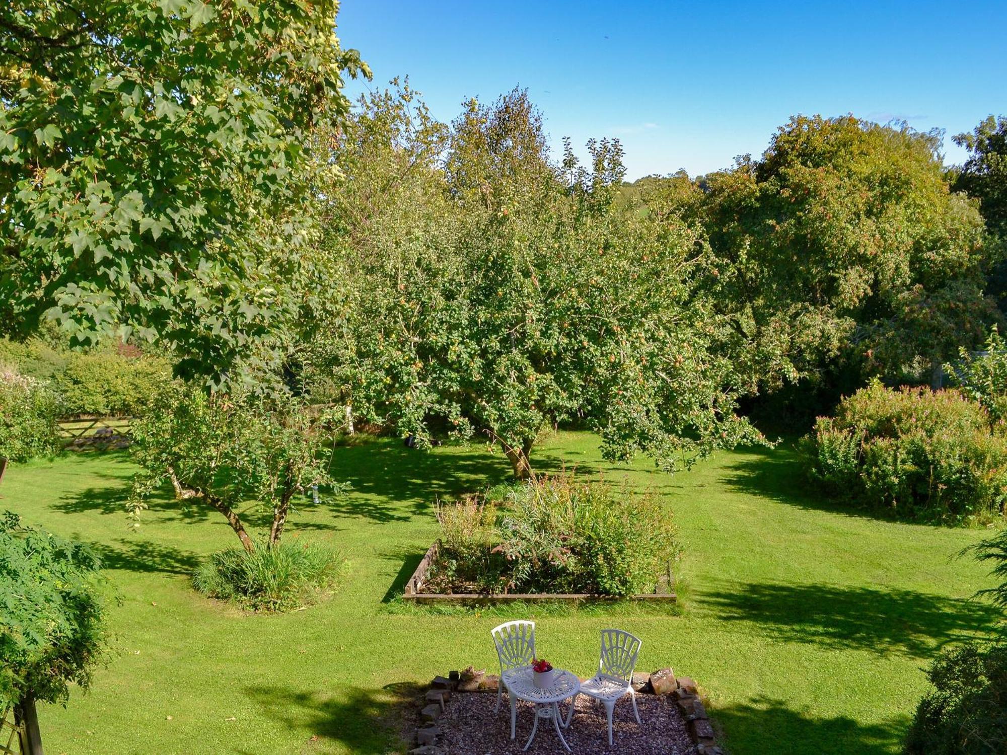 Clematis Cottage Holsworthy Εξωτερικό φωτογραφία